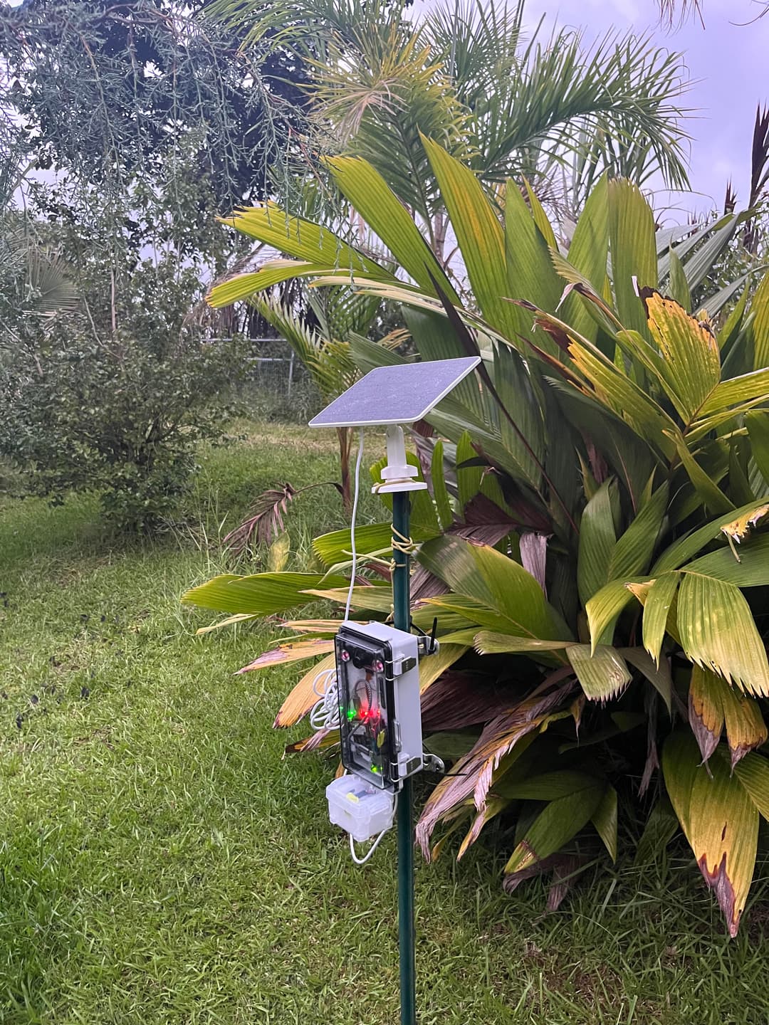 V1 camera box in Hawaii.